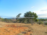 Vente terrain 1.5 ha vue mer Diego