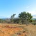 Vente terrain 1.5 ha vue mer Diego