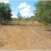 vente-parcelles-terrain-arrachart-3