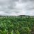 agriculture-vente-terrain-72-hectares-2