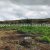 agriculture-vente-terrain-72-hectares-4