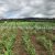 agriculture-vente-terrain-72-hectares-5