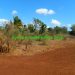 terrain-vente-petit-prix-diego-suarez-1