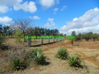 vente-terrain-proche-aeroport-diego-3