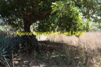 vente-terrain-daraina-region-diana