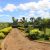 Villa à vendre – Confort & Espace à Antanamitarana  - Image7