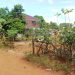 terrain-a-vendre-scama-diego